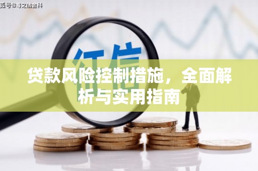 铁力贷款风险控制措施，全面解析与实用指南