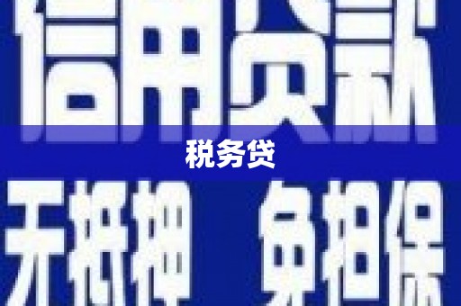铁力税务贷