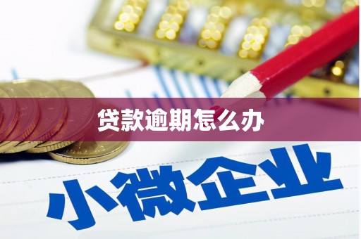 铁力贷款逾期怎么办