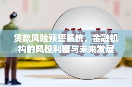 铁力贷款风险预警系统，金融机构的风控利器与未来发展