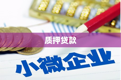 铁力质押贷款