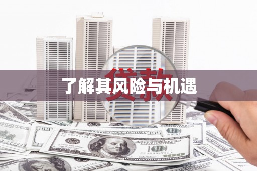 铁力了解其风险与机遇