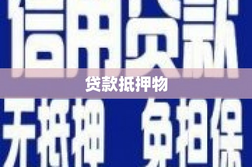 铁力贷款抵押物