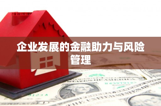 铁力企业发展的金融助力与风险管理