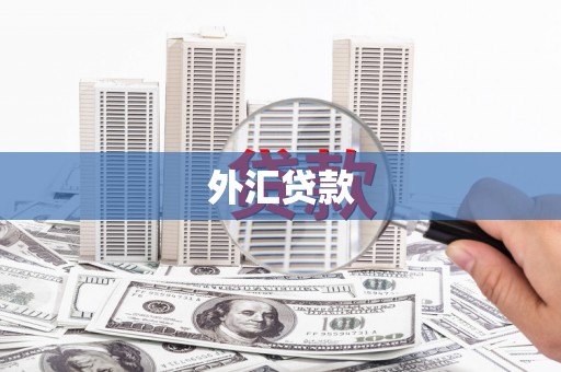 铁力外汇贷款