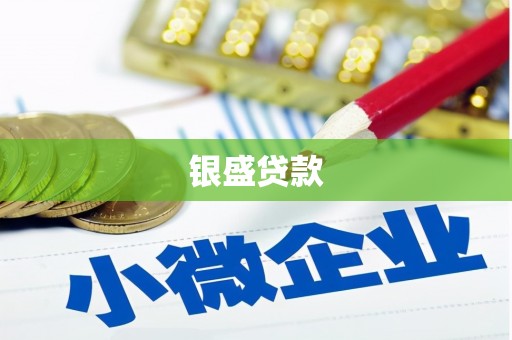 铁力银盛贷款