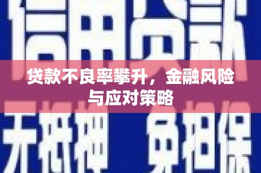铁力贷款不良率攀升，金融风险与应对策略