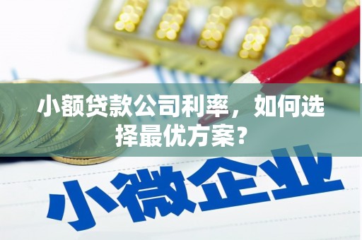 铁力小额贷款公司利率，如何选择最优方案？