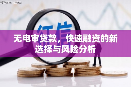 铁力无电审贷款，快速融资的新选择与风险分析