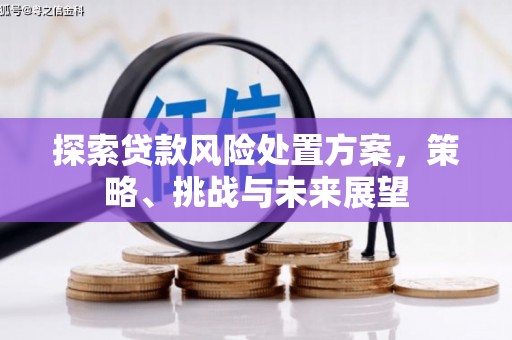 铁力探索贷款风险处置方案，策略、挑战与未来展望