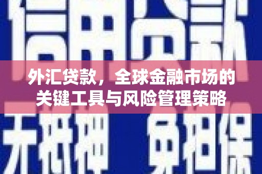 铁力外汇贷款，全球金融市场的关键工具与风险管理策略