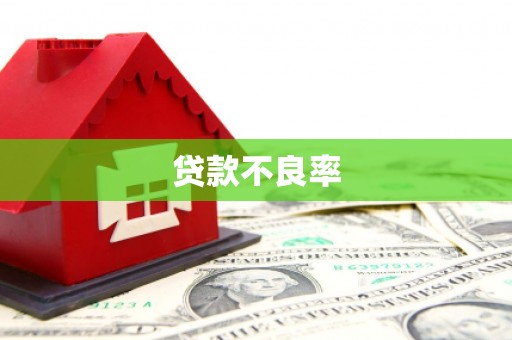 铁力贷款不良率