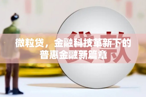 铁力微粒贷，金融科技革新下的普惠金融新篇章