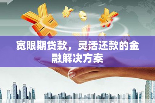 铁力宽限期贷款，灵活还款的金融解决方案