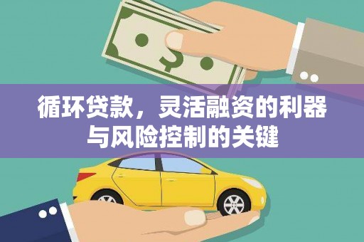 铁力循环贷款，灵活融资的利器与风险控制的关键