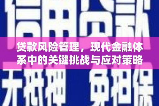 铁力贷款风险管理，现代金融体系中的关键挑战与应对策略