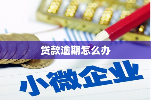 铁力贷款逾期怎么办
