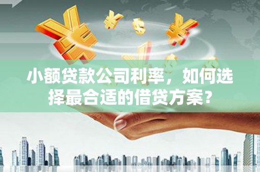 铁力小额贷款公司利率，如何选择最合适的借贷方案？