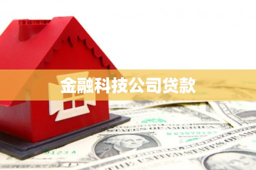 铁力金融科技公司贷款