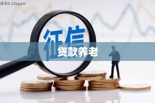 铁力贷款养老