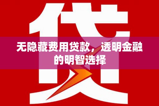 铁力无隐藏费用贷款，透明金融的明智选择
