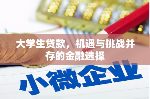 铁力大学生贷款，机遇与挑战并存的金融选择