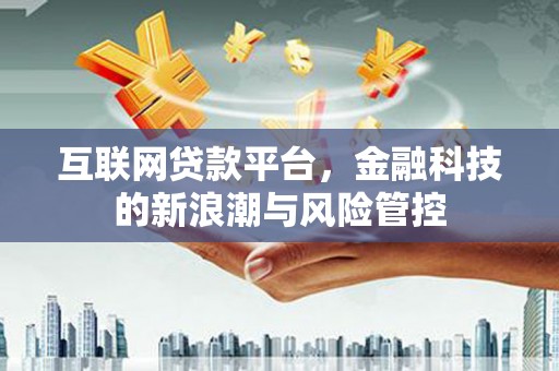 铁力互联网贷款平台，金融科技的新浪潮与风险管控