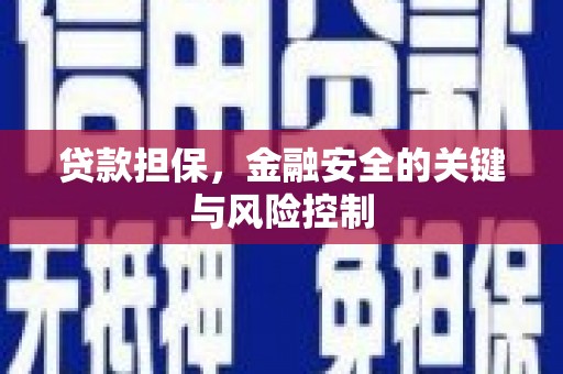 铁力贷款担保，金融安全的关键与风险控制
