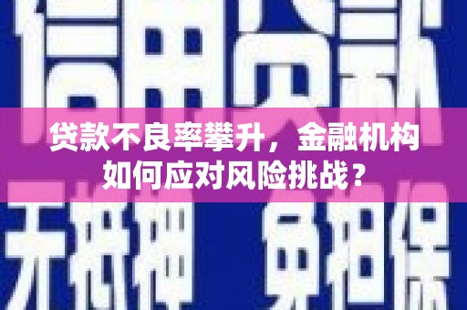铁力贷款不良率攀升，金融机构如何应对风险挑战？