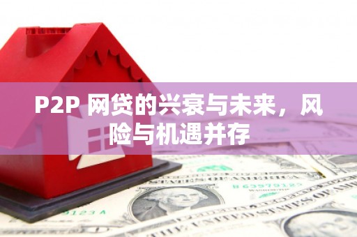 铁力P2P 网贷的兴衰与未来，风险与机遇并存