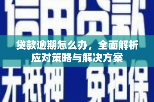 铁力贷款逾期怎么办，全面解析应对策略与解决方案