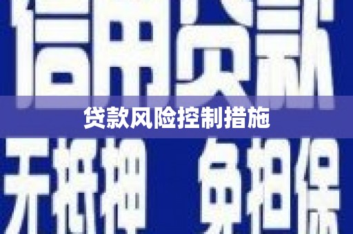 铁力贷款风险控制措施