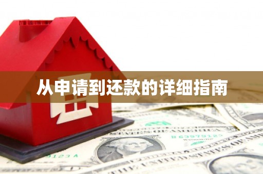 铁力从申请到还款的详细指南